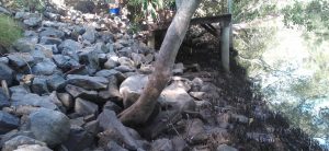 featured-illegal-revetment-wall